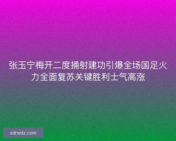张玉宁梅开二度捅射建功引爆全场国足火力全面复苏关键胜利士气高涨 张玉宁梅开二度捅射建功引爆全场国足火力全面复苏关键胜利士气高涨